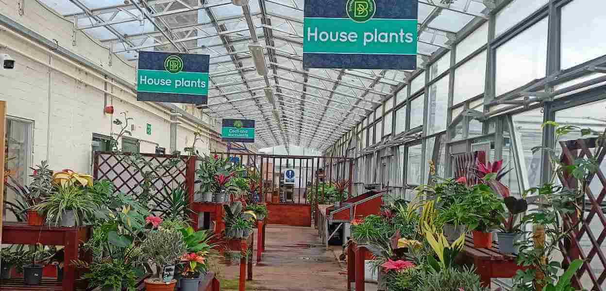 Interior of Bowlee Garden Nursery.