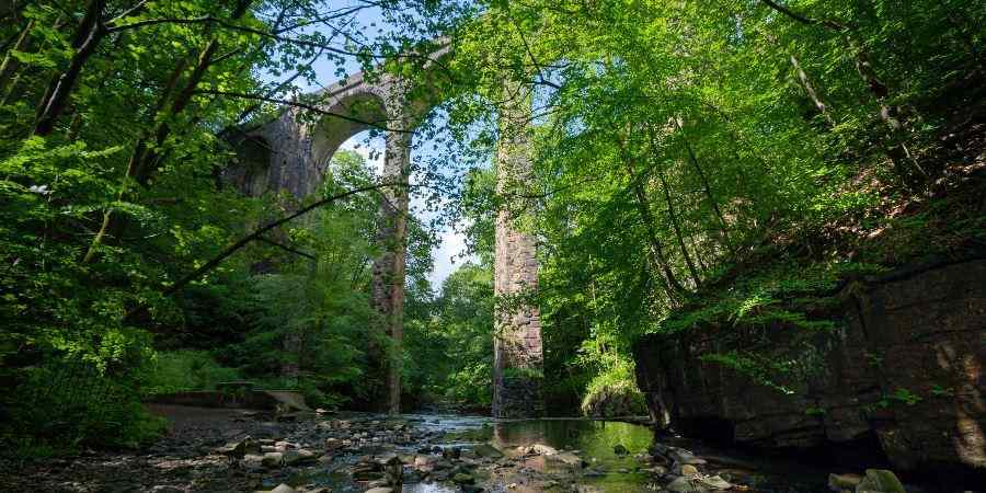 The viaduct at Healey Dell.