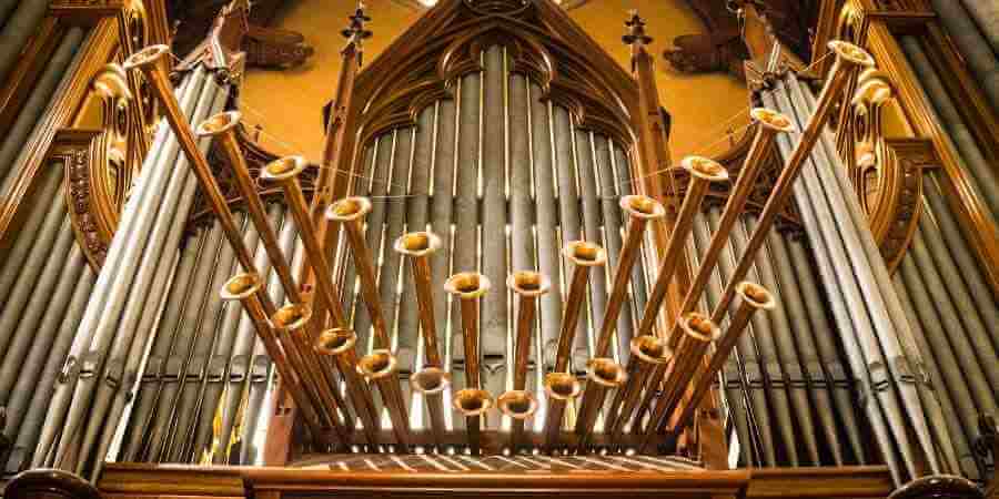 An organ.