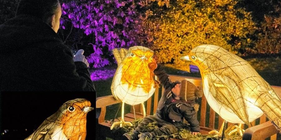 Illuminated robin sculptures.