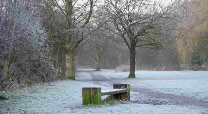 Park bench covered in frost.