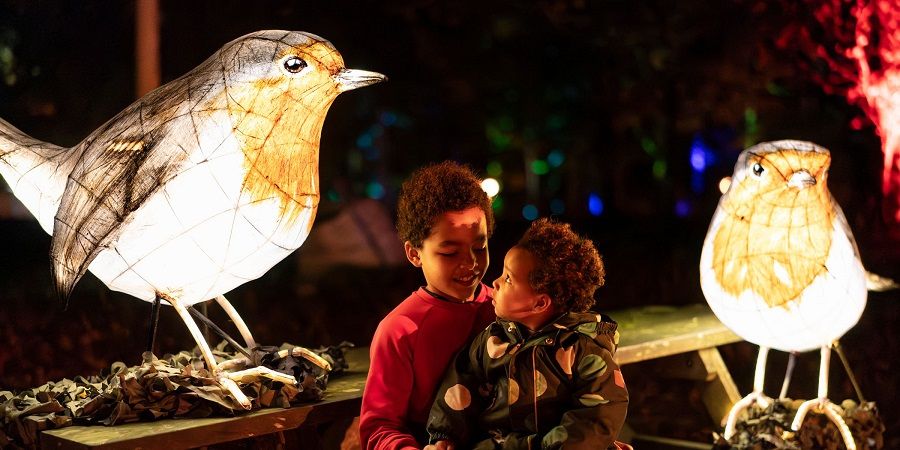 2 children sat in front of 2 illuminated robin sculptures.