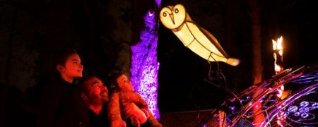 A family admiring an illuminated owl sculpture.