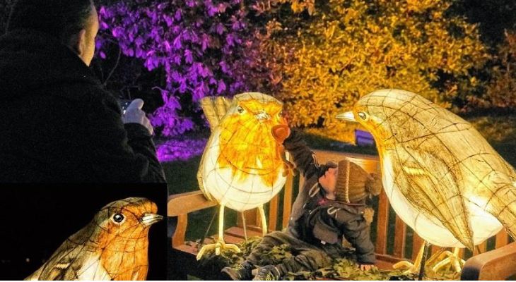 A young child sat between 2 illuminated Robin sculptures.