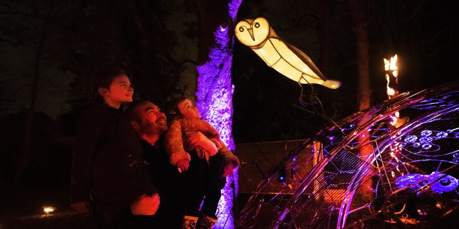 Family examining a lit nature display at night.