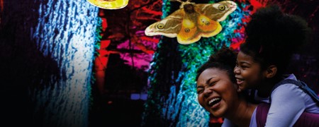 Parent and child examining illuminated sculpture at night.