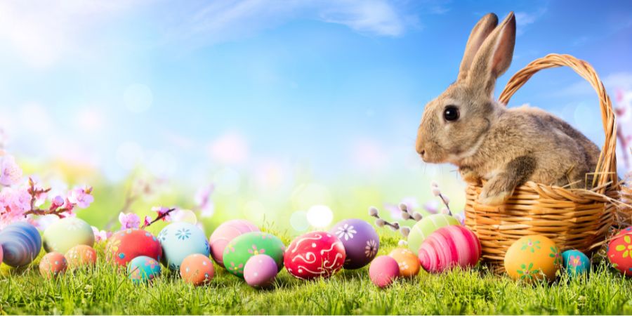 A bunny next to lots of small Easter eggs.